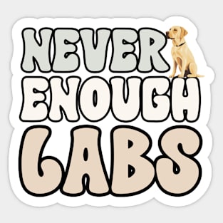 Never Enough Labs Sticker